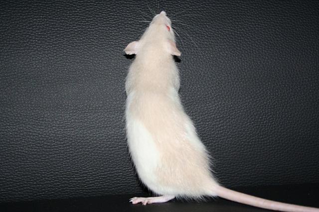 zooi 2 031 800x533