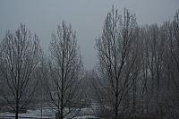 IMG 0008 800x533