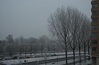 IMG 0011 800x533