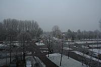 IMG 0013 800x533