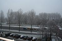 IMG 0014 800x533