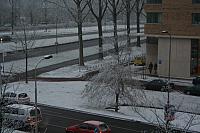 IMG 0016 800x533