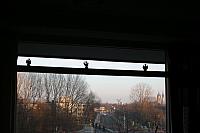 IMG 0083 800x533