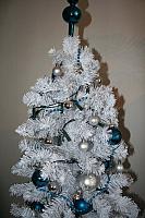 IMG 0093 400x600