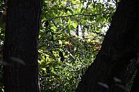 IMG 7857 1620x1080