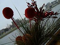 S6000068 800x600