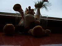 S6000070 800x600