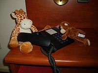 S6000184 800x600
