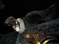 S6000219 800x600