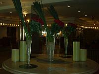 S6000117 800x600