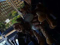 S6000121 800x600