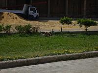 S6000126 800x600