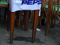 S6000163 800x600