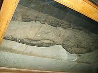 S6000270 800x600