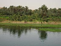 S6000338 800x600