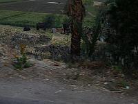 S6000410 800x600