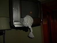 S6000483 800x600