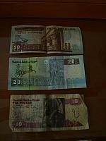 S6000485 450x600