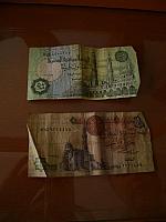 S6000488 450x600