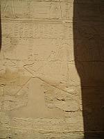 S6000538 450x600