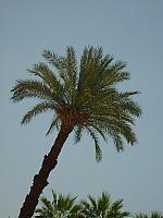 S6000617 800x600