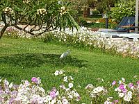 S6000709 800x600