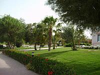 S6000816 800x600