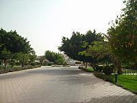 S6000817 800x600