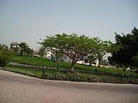 S6000818 800x600