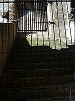 S6000069 450x600