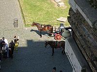 S6000107 800x600