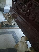 S6000447 450x600