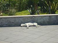 S6000515 800x600