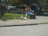 S6000527 800x600
