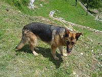 S6000994 800x600