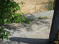S6001028 800x600