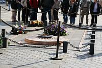 IMG 0159 800x533