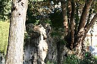 IMG 0188 800x533