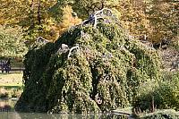IMG 0202 800x533
