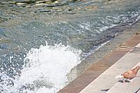 IMG 0211 800x533