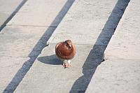 IMG 0220 800x533