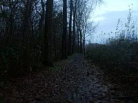 S6000231 800x600
