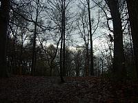 S6000232 800x600