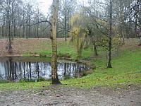 S6000234 800x600