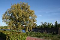 20090424 150 800x533