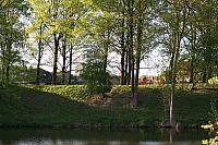 20090424 200 800x533
