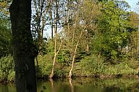20090424 202 800x533