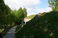 20090424 274 800x533