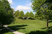 20090424 285 800x533