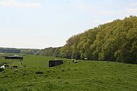 20090424 326 800x533